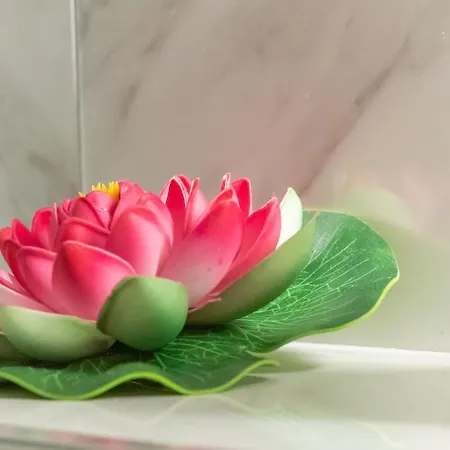 Apartamento Pekovic Blue-apartman Pama *